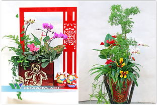 园艺系挂职教师助力服务单位打造特色花卉产品